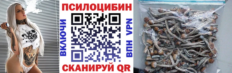 Галлюциногенные грибы мицелий  Орлов 